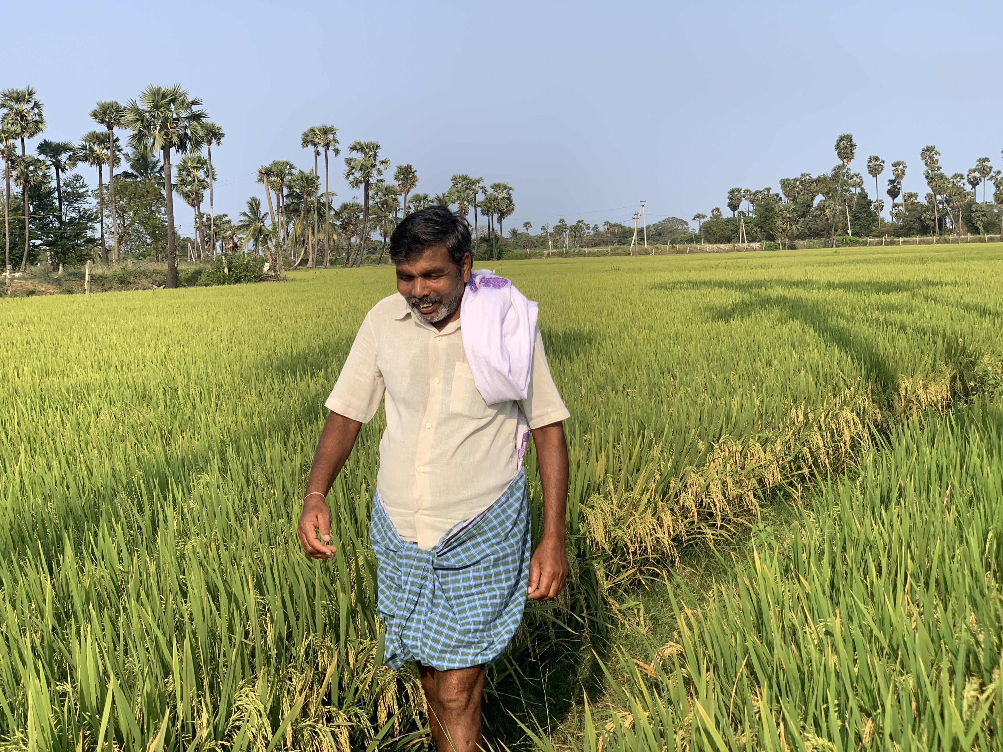 Agricultural challenges